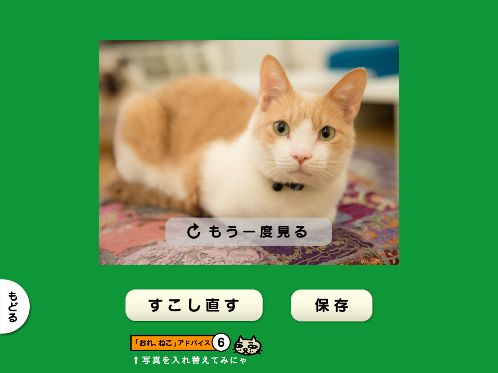 【猫動画】猫のフォトムービーをアプリ「思い出ぽん！ おれ、ねこ 木村カエラ・ヴァージョン」で作ってみた cap09