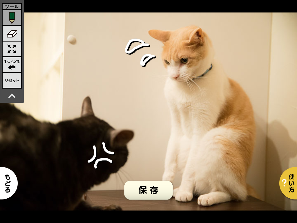 【猫動画】猫のフォトムービーをアプリ「思い出ぽん！ おれ、ねこ 木村カエラ・ヴァージョン」で作ってみた cap5
