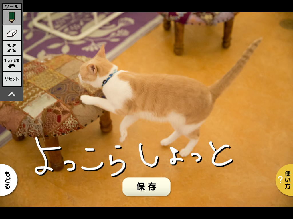 【猫動画】猫のフォトムービーをアプリ「思い出ぽん！ おれ、ねこ 木村カエラ・ヴァージョン」で作ってみた cap6