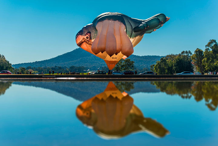 DOMMUNE屋外ライブ〜巨大気球。アートプロジェクト＜TRANS ARTS TOKYO 2014＞開催 art140829_transartstokyo_kikyu