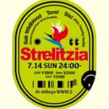 Strelitzia