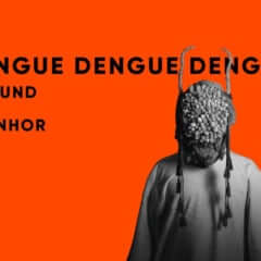 Dengue Dengue Dengue