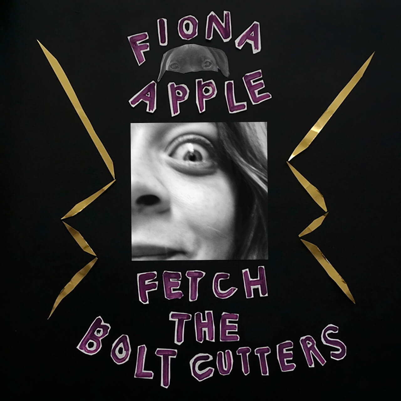 Fiona Appleが8年ぶりの新作「Fetch The Bolt Cutters」をリリース｜Pitchforkで10点満点を獲得 music200417-fiona-apple-1