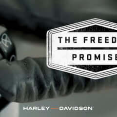 FREEDOM PROMISE
