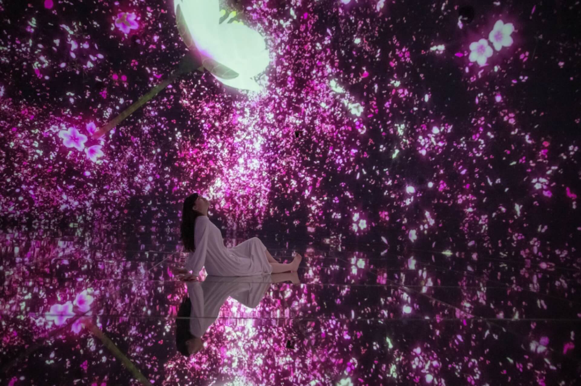 豊洲の現代美術館 チームラボプラネッツ が営業再開 人気作品 Floating In The Falling Universe Of Flowers も Qetic