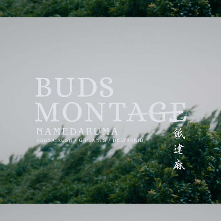 舐達麻の新曲「BUDS MONTAGE」木村太一監督のミュージック・ビデオが100万回再生を突破 | Qetic