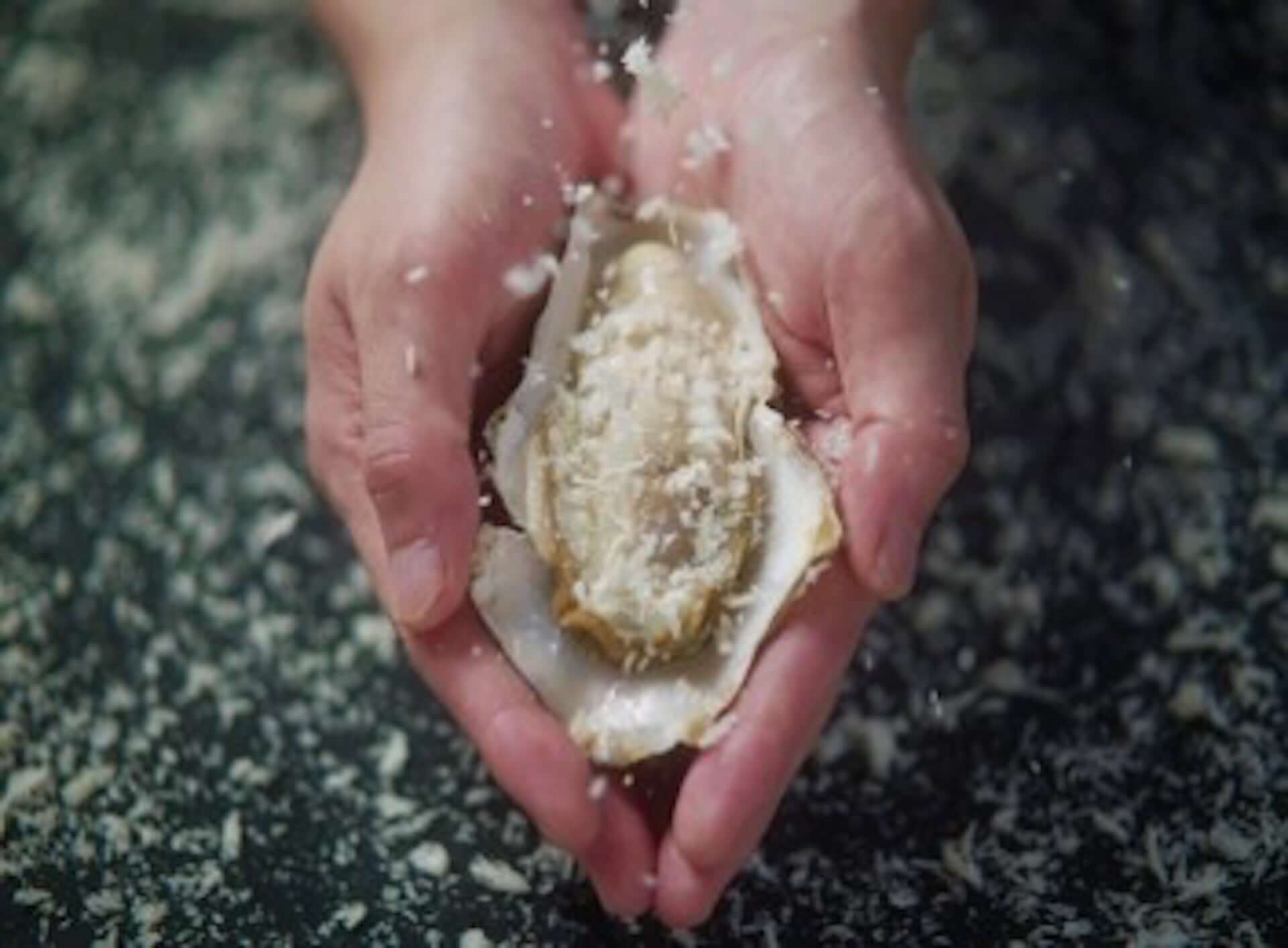 北海道・知内産の生牡蠣を使用した日本初の『生牡蠣フライ』が新宿ワーフで新発売！今月は特別価格で提供 gourmet200818_oyster-bar-wharf_4-1920x1413
