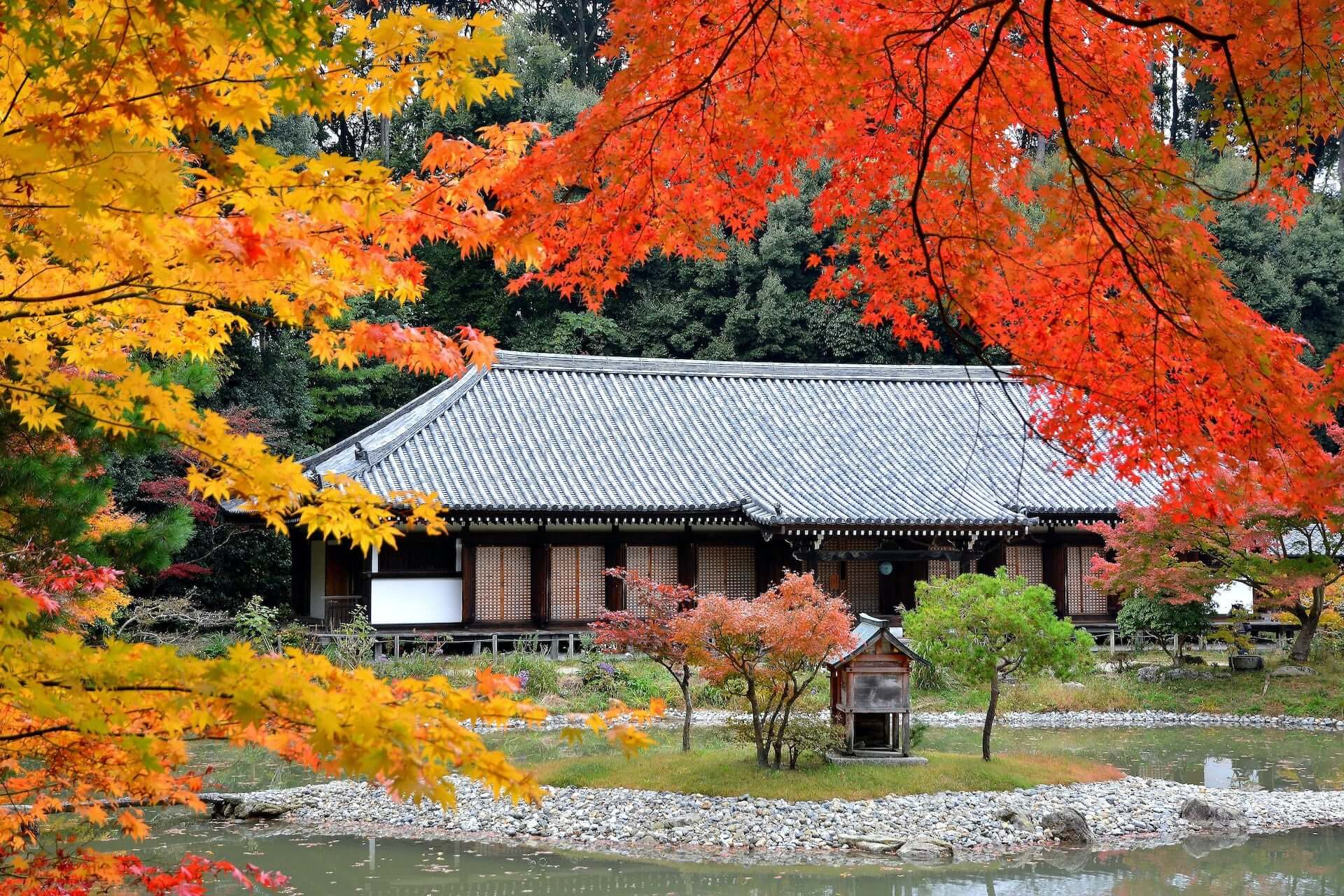 京都観光におすすめな秋の紅葉スポット5選！ナイトライフを満喫できる期間限定ライトアップも紹介 art201109_kyoto-spot_1-1920x1280