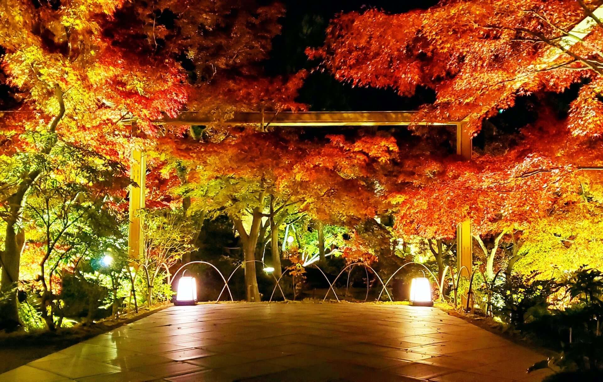 京都観光におすすめな秋の紅葉スポット5選！ナイトライフを満喫できる期間限定ライトアップも紹介 art201109_kyoto-spot_9-1920x1217
