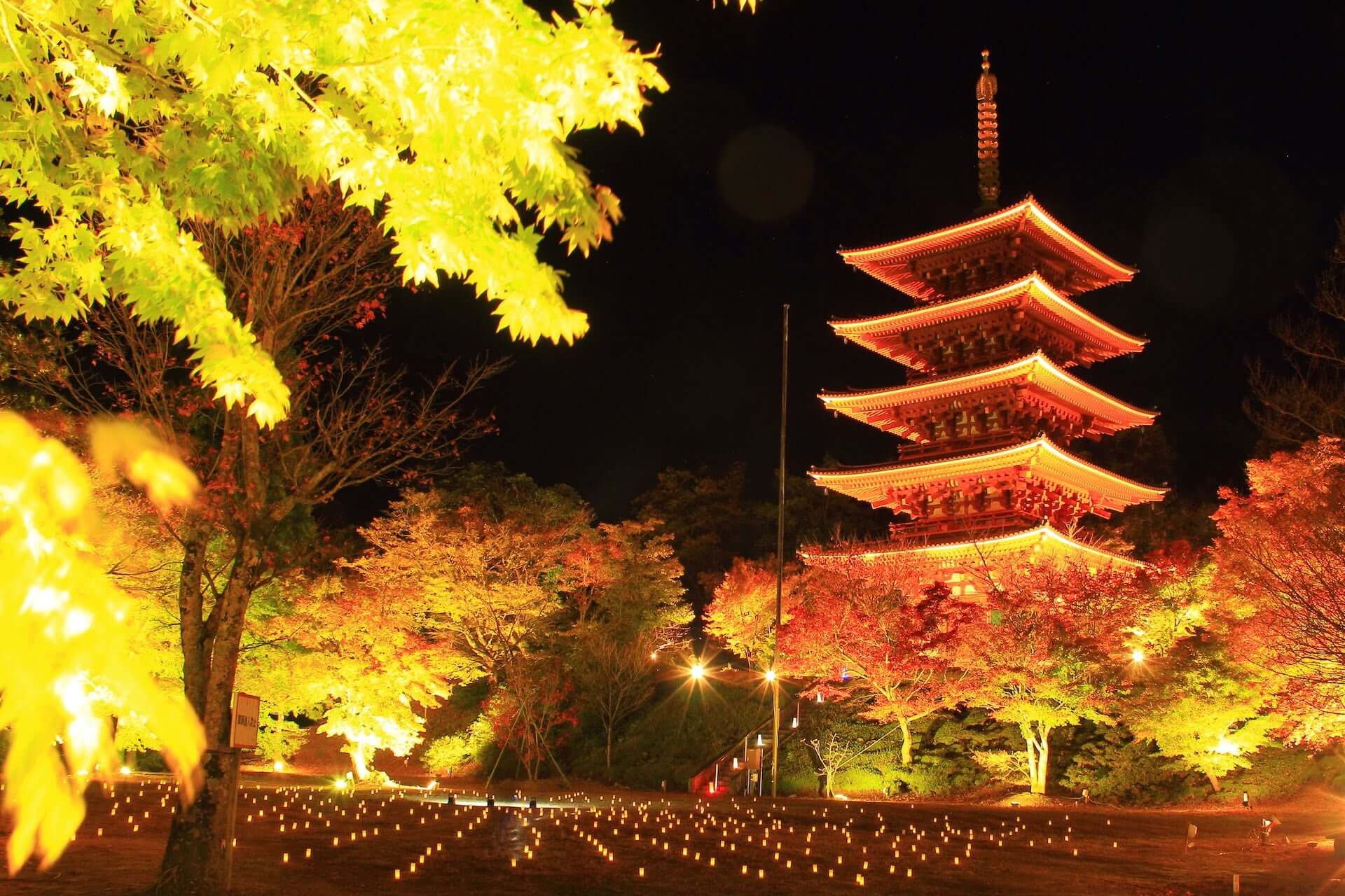 京都観光におすすめな秋の紅葉スポット5選！ナイトライフを満喫できる期間限定ライトアップも紹介 art201109_kyoto-spot_13-1920x1280
