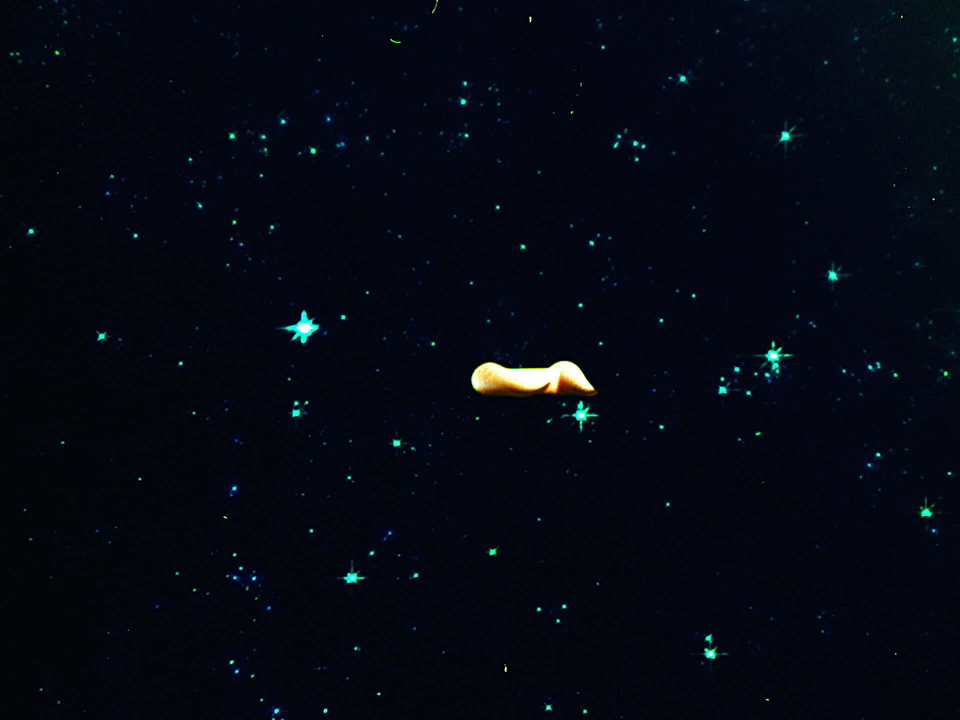 土星人Sun Raが乗っていた宇宙船の姿が明らかに！映画『サン・ラーのスペース・イズ・ザ・プレイス』の特別写真が公開 film201112_sunra_12-1920x1440