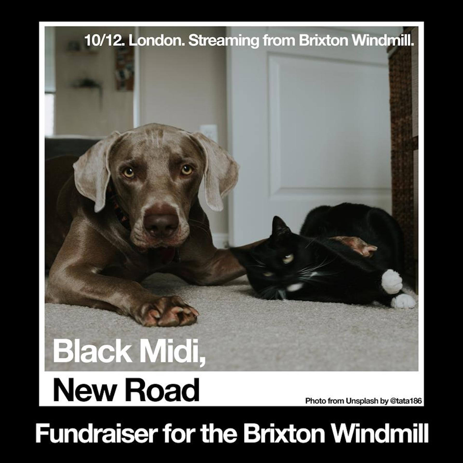 black midiとBlack Country, New Roadがコラボ！24時間限定のライブ配信がBandcampにて実施決定 Qetic