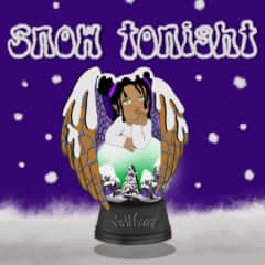 vividbooy snowtonight