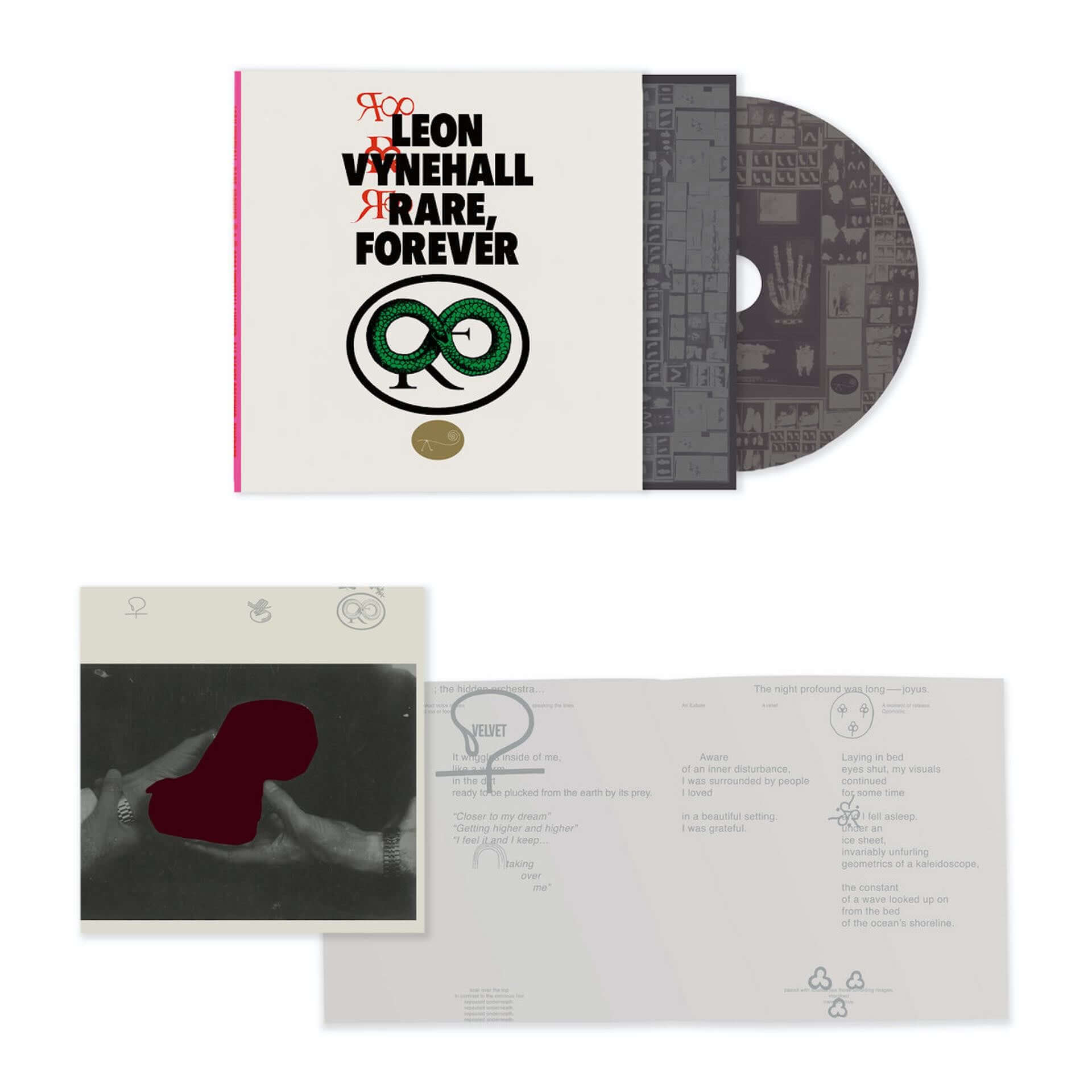 Leon Vynehallの新アルバム『Rare, Forever』がリリース決定！新曲“Mothra”と“Ecce！ Ego！”も公開 music210212_leon-vynehall_4-1920x1920
