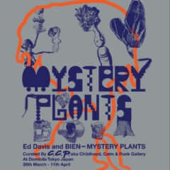 MYSTERY PLANTS