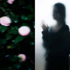 lileisebutgold