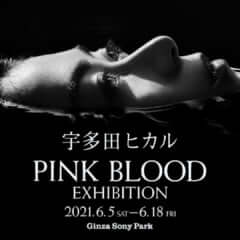 hikaru-utada-pinkblood