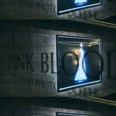 hikaru-utada-pinkblood