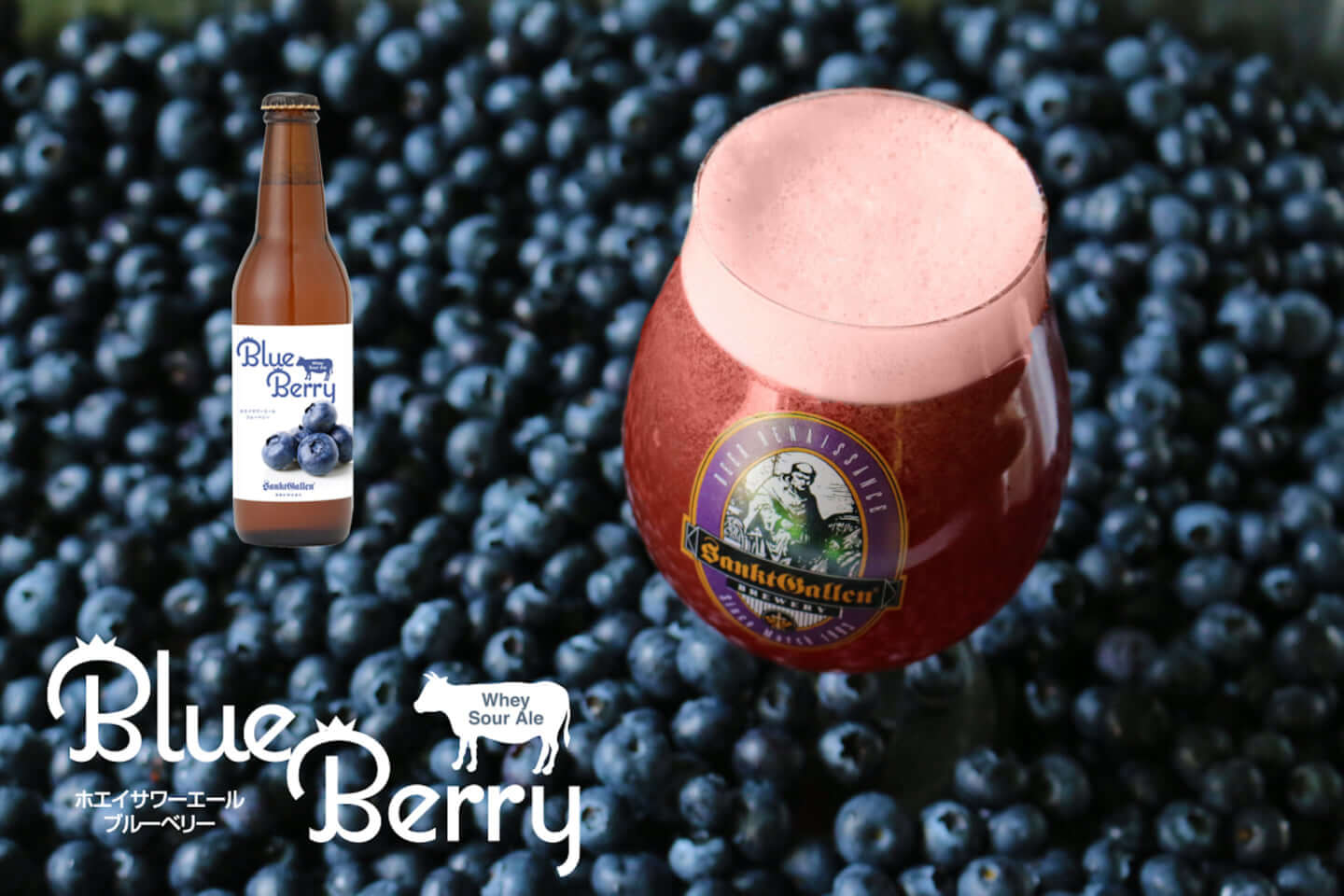blueberry-beer