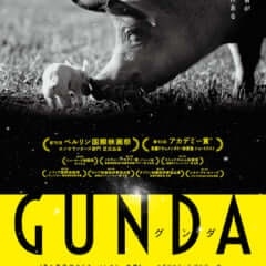GUNDA／グンダ