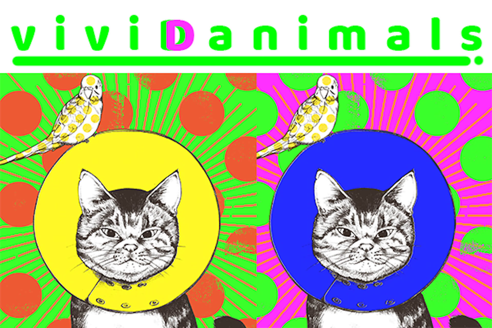 アーティストD［di：］のNFTアート作品『viviDanimals』がリリース！初のアニメーションアート | Qetic