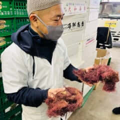 佐渡アウトドアベース