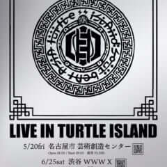 LIVE IN TURTLE ISLAND