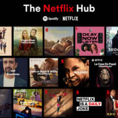 Netflix Hub