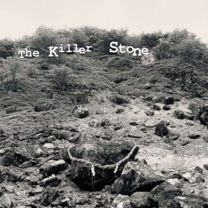 2022年那須にある殺生石が割れた──B.D. & THE KILLER STONEに刮目せよ Qetic