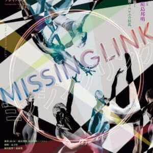 MISSING LINK