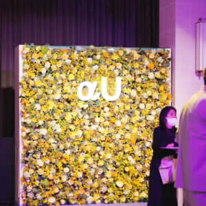 αU