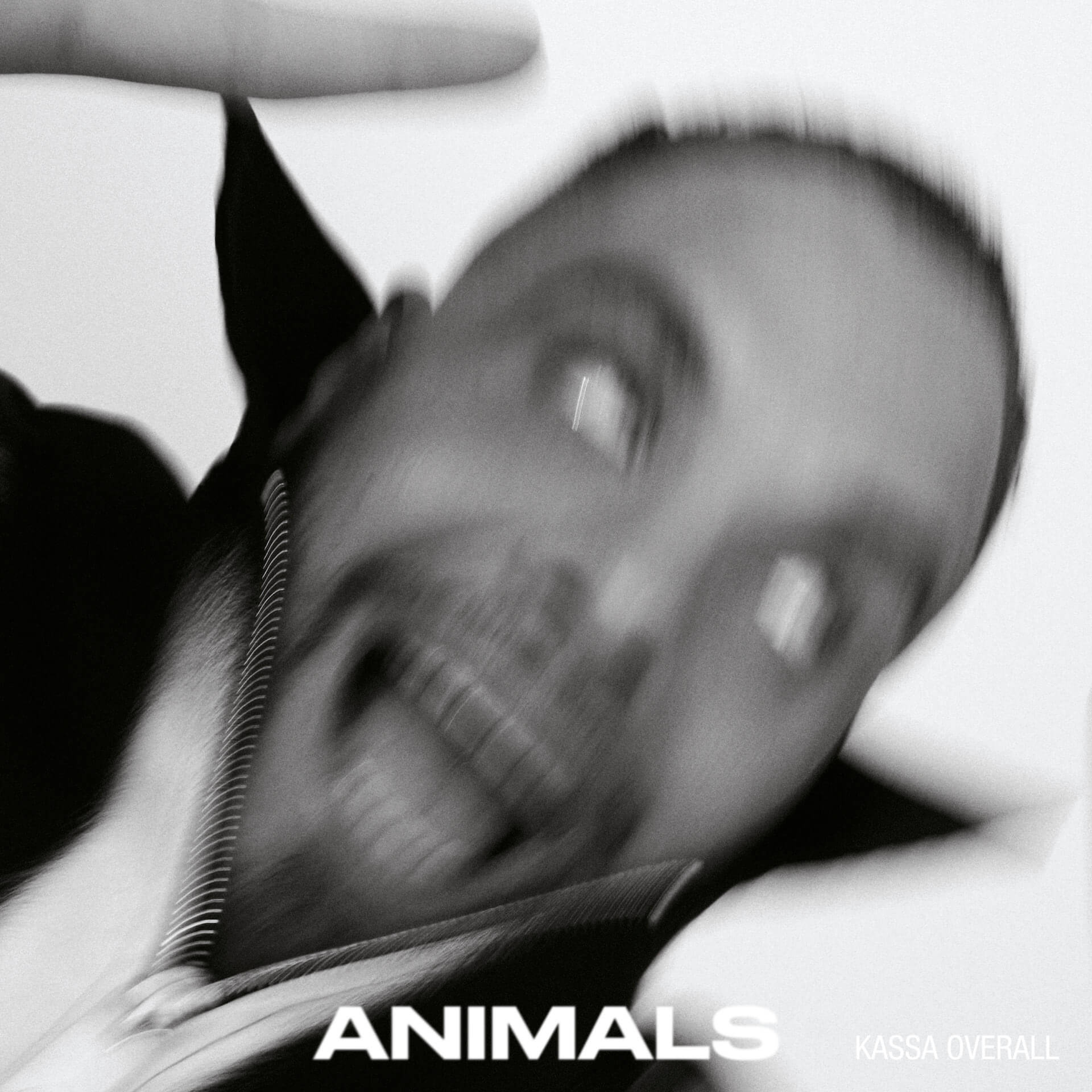 Kassa Overall待望の最新作『ANIMALS』よりLil B、Shabazz Palaces、Francis and the Lights参加の新曲「Going Up」が公開｜期間限定の購入特典も WARP351_Packshot_Hires