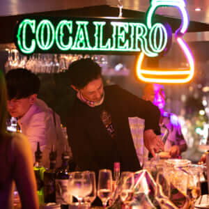 コカレロ・ヴィーダ