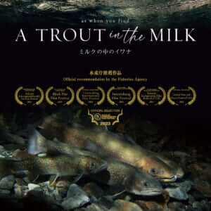 A TROUT IN THE MILK / ミルクの中のイワナ