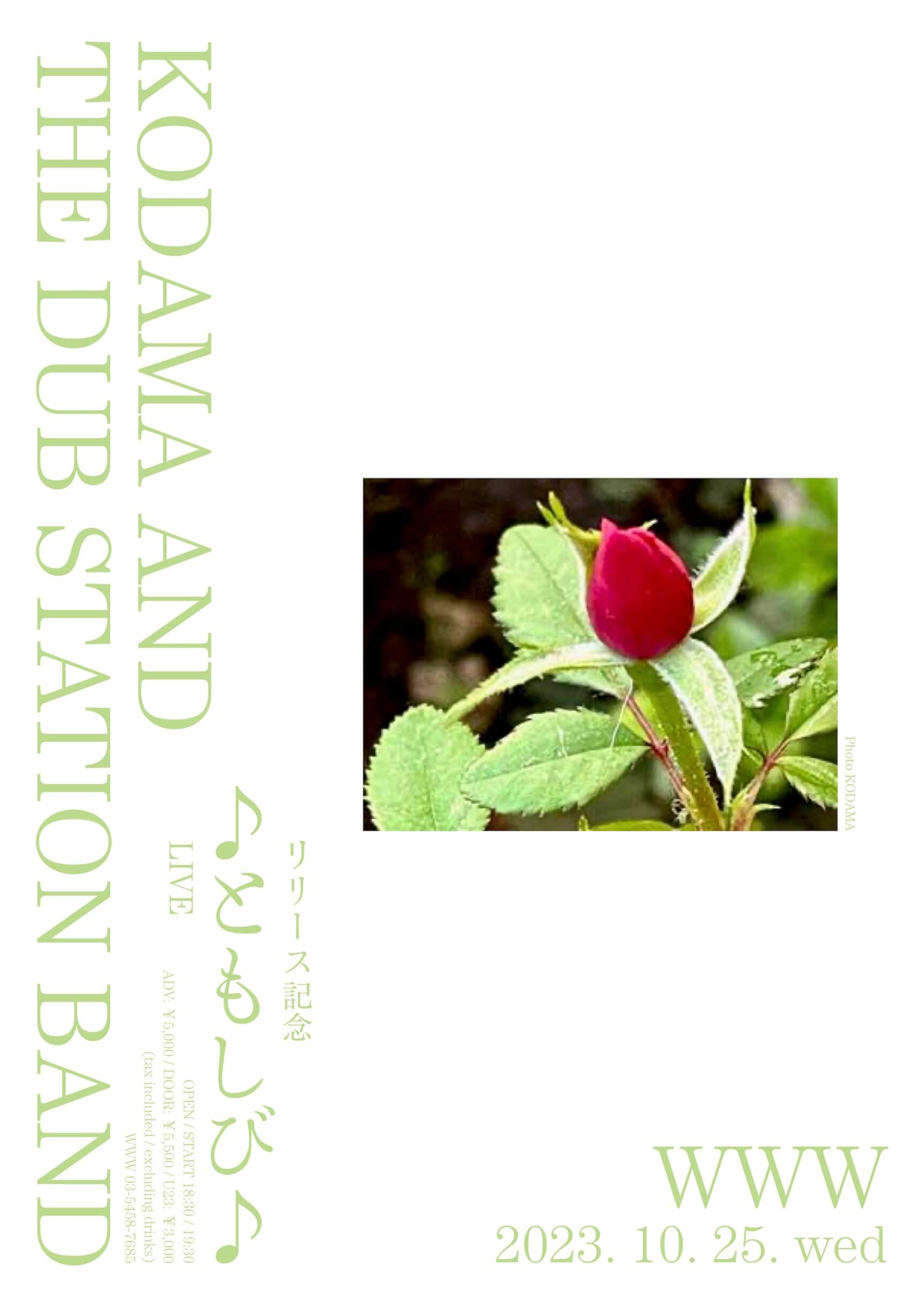 こだま和文が率いる「KODAMA AND THE DUB STATION BAND」の4年ぶりとなるアルバムリリースを記念した単独公演がWWWにて開催 music230824-kodama-and-the-dub-station-band1