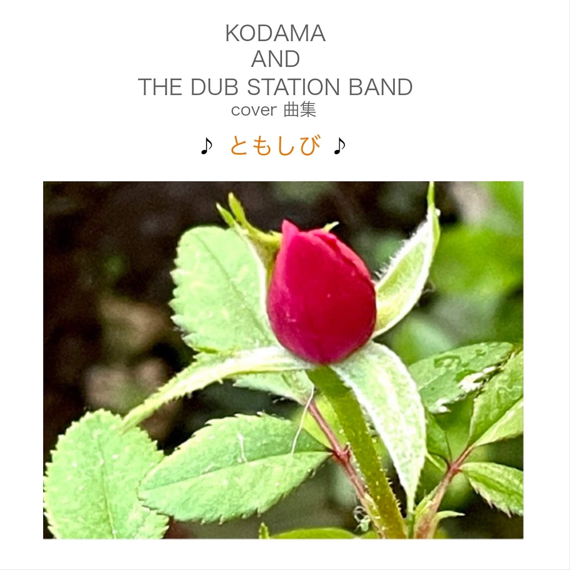 こだま和文が率いる「KODAMA AND THE DUB STATION BAND」の4年ぶりとなるアルバムリリースを記念した単独公演がWWWにて開催 music230824-kodama-and-the-dub-station-band3