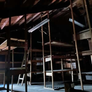CELLAR RECORDS