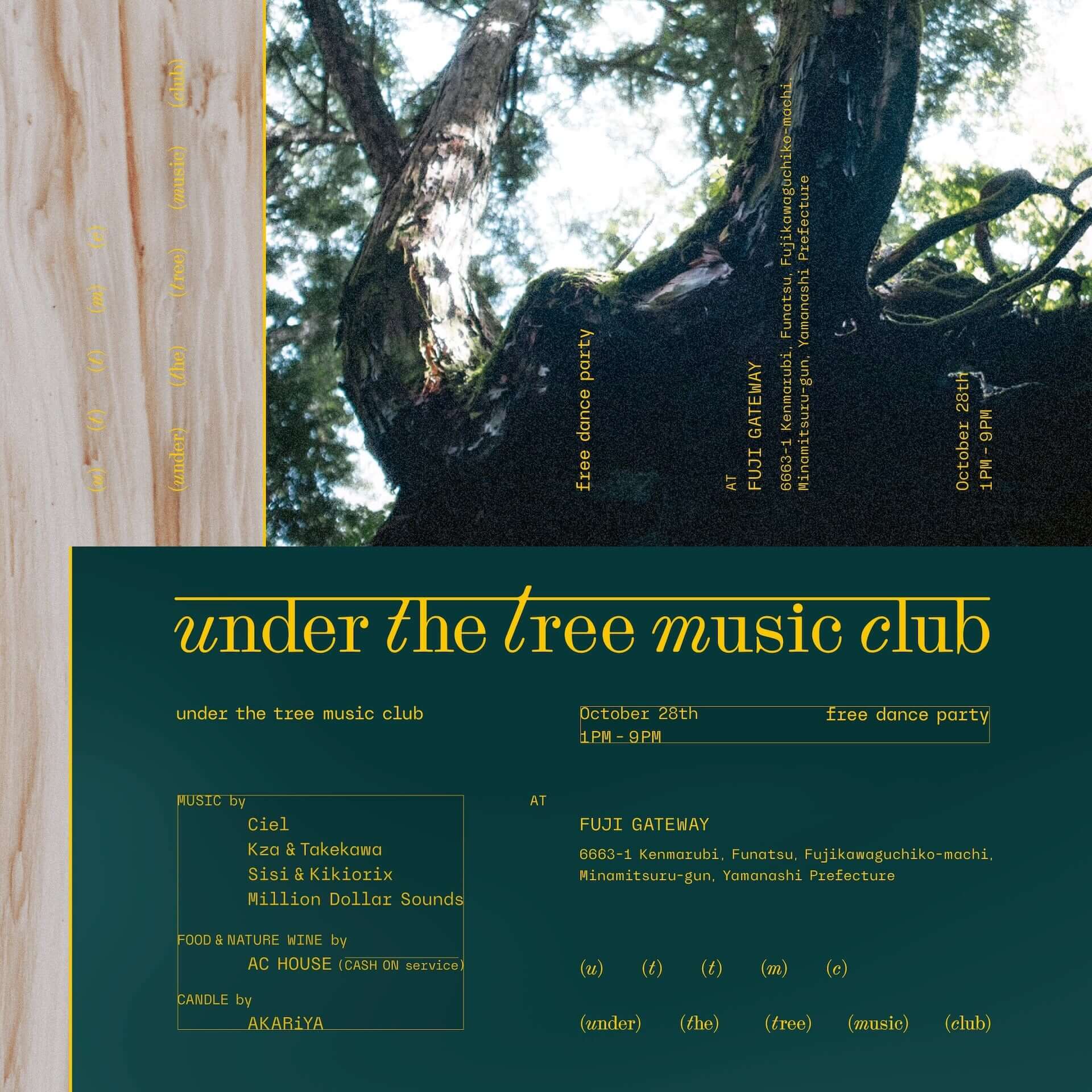 under the tree music club