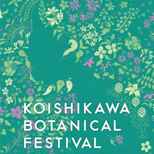小石川植物祭 2023
