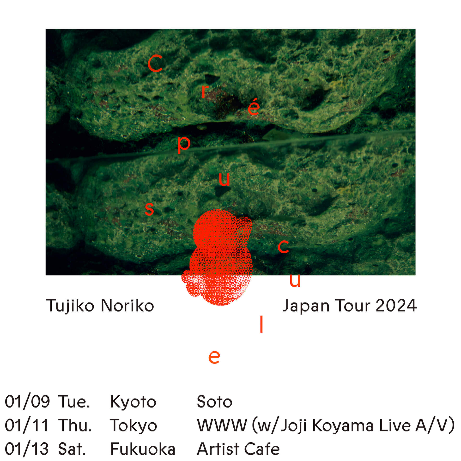 Tujiko Noriko、5年ぶりとなるジャパンツアーを3都市で開催｜渋谷・WWW公演には映像作家のJoji Koyamaが参加 music231215-tujiko-noriko1