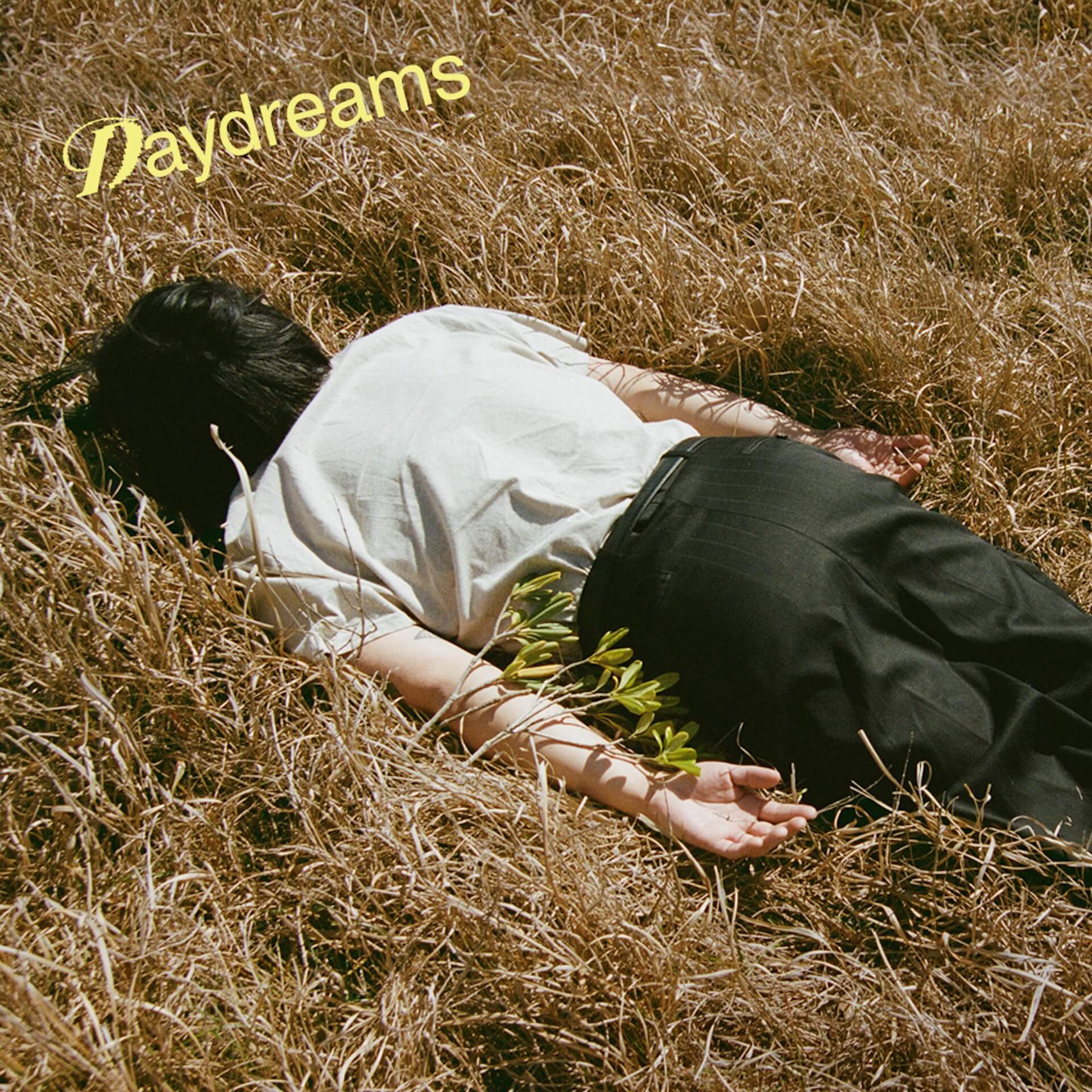 Michael Kaneko、3rdアルバム『Daydreams』を5月29日（水）にリリース｜2CD限定版には昨年の渋谷・WWWXでのワンマンライブの音源を収録 music240405-michael-kaneko1-1