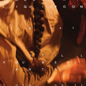 463717 スティル・ハウス・プランツ（Still House Plants） | PHOTO