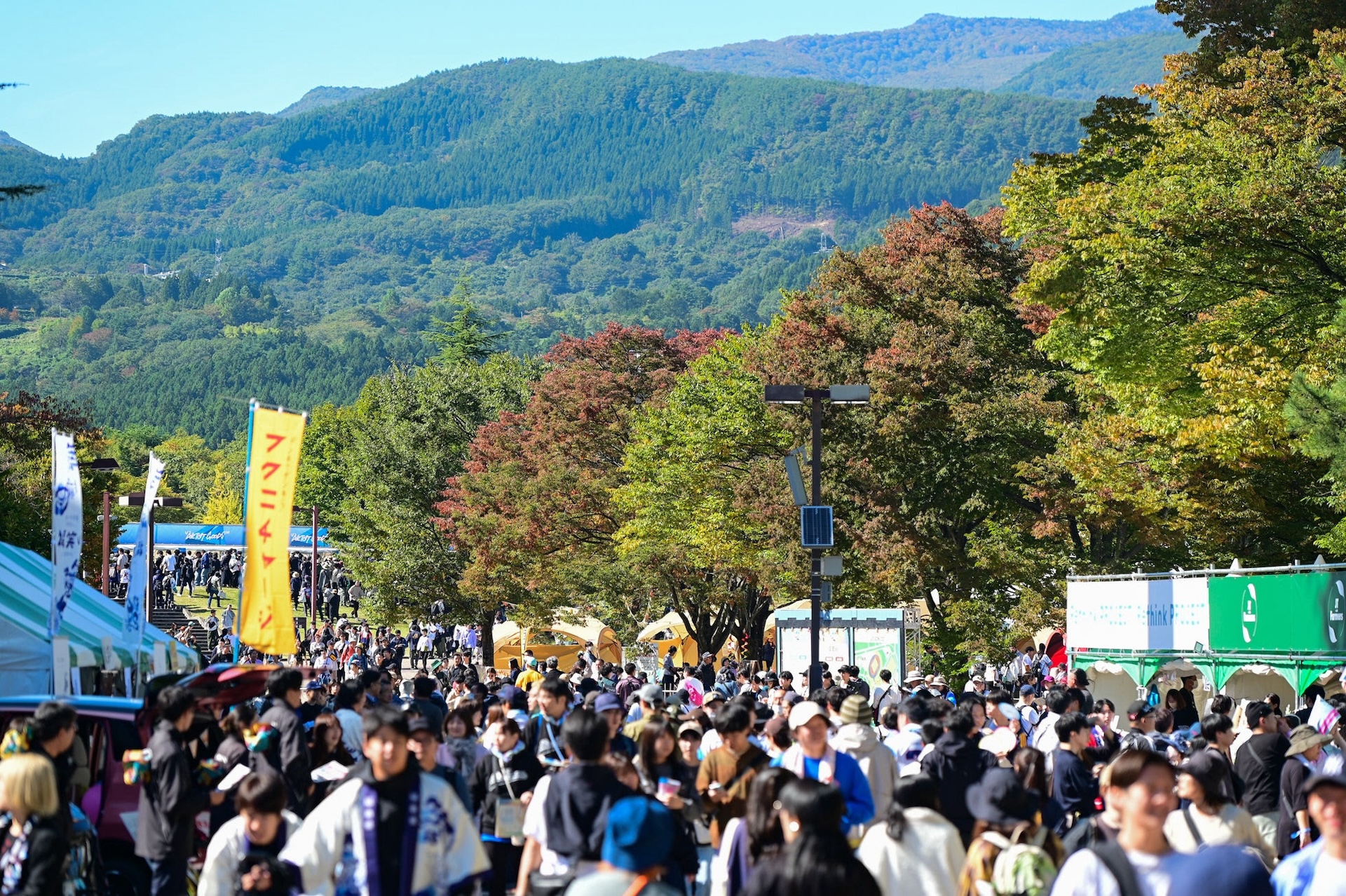 うまいラーメンは、東北にあり！＜LIVE AZUMA 2024＞で注目の「東北拉麺屋台村」を森本聡子と西谷美希が語る column241006-live-azuma