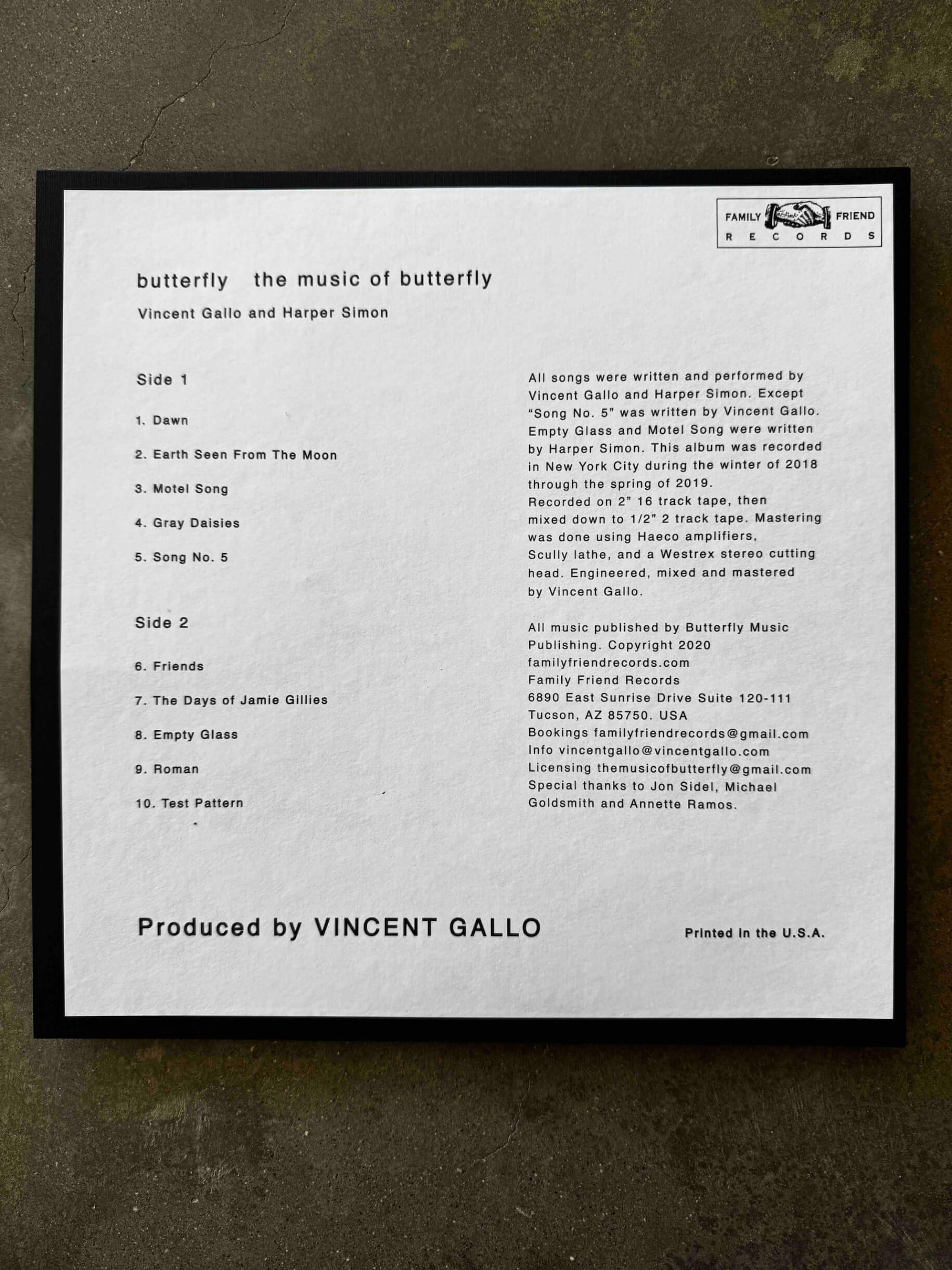 Vincent Galloの最新音楽作品 『The Music of Butterfly』がLP盤のみで世界限定3000枚発売 music241210-vincent-gallo2