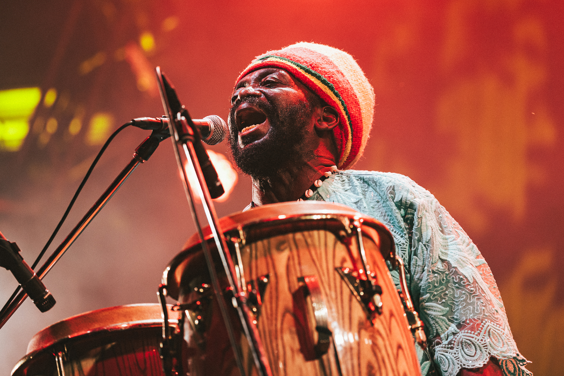 INTERVIEW＠FUJI ROCK FESTIVAL '25 AFRICAN HEAD CHARGE 2N4A9983