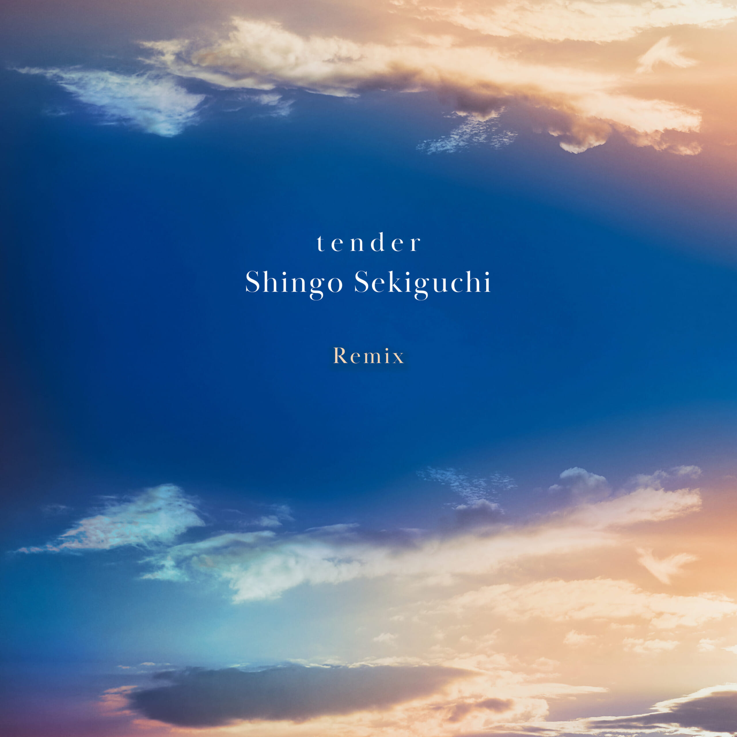 関口シンゴがLo-fi Hip Hop界で人気を博すLDJをリミキサーに迎えた“Southern Street(LDJ Remix)”をリリース ShingoSekiguchi_TenderRemix_JKT-1-scaled