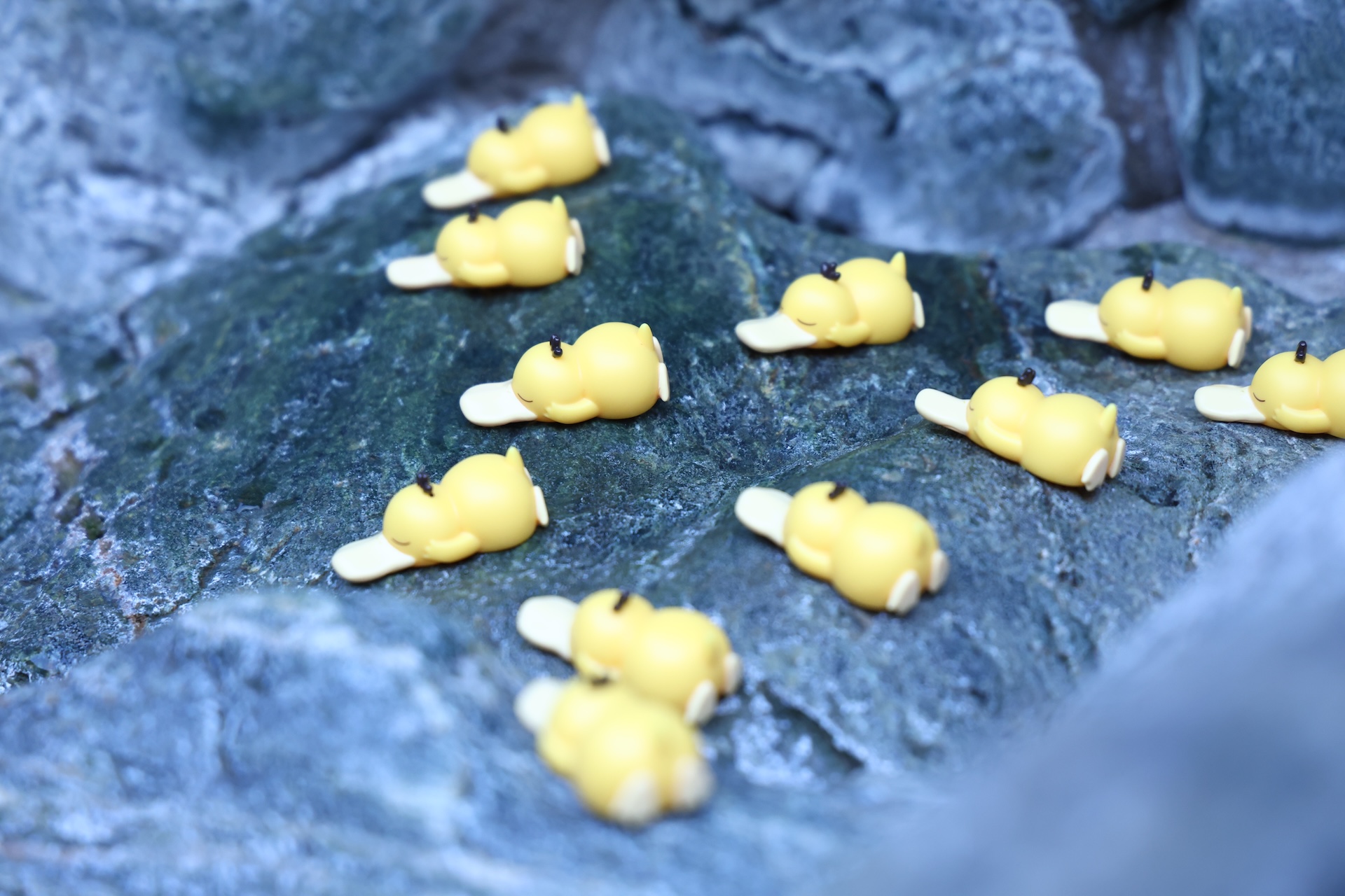 『Pokémon Sleep』と『サウナイキタイ』が共同プロジェクト “サとス”を発表 1W2A3285 『Pokémon Sleep』と『サウナイキタイ』が共同プロジェクト “サとス”を発表 1W2A3285