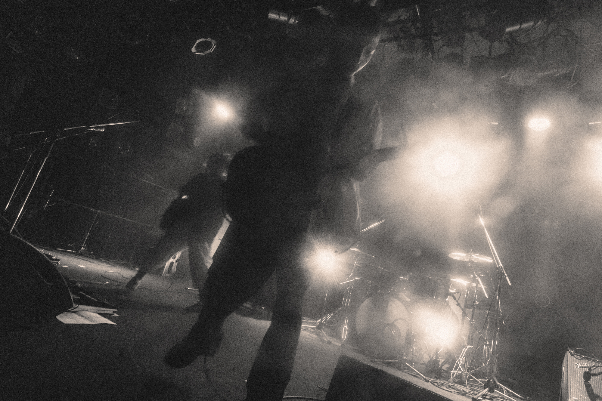 僕らがNikoんを好きなワケ Vol.02 ～ファン・インタビューから紐解くバンドの魅力～ dd268aa9f4d32205040b09ba7faeb440