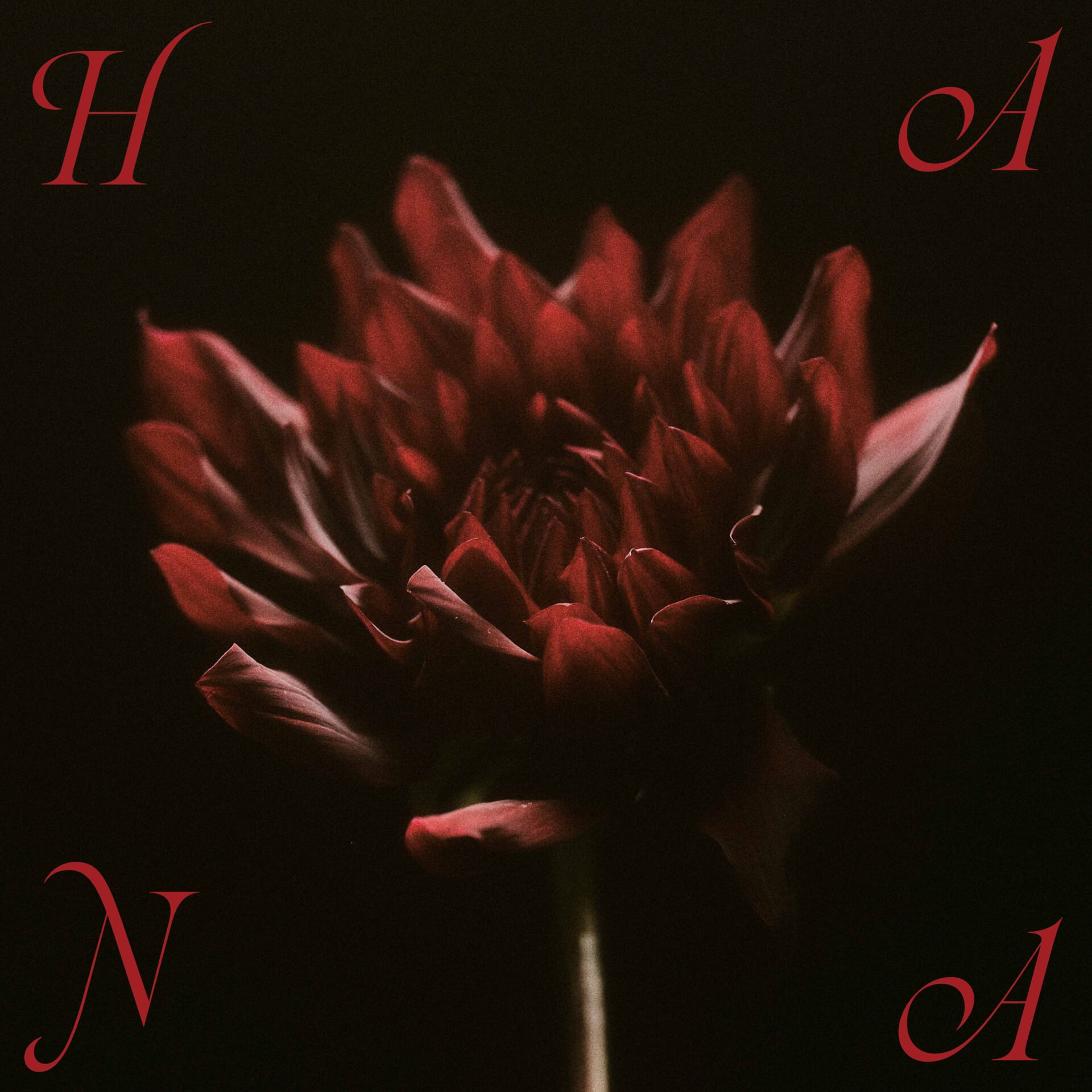 HANAの待望の1stアルバム『HANA』のアルバムアートワークがついに解禁 main-18-1920x1920