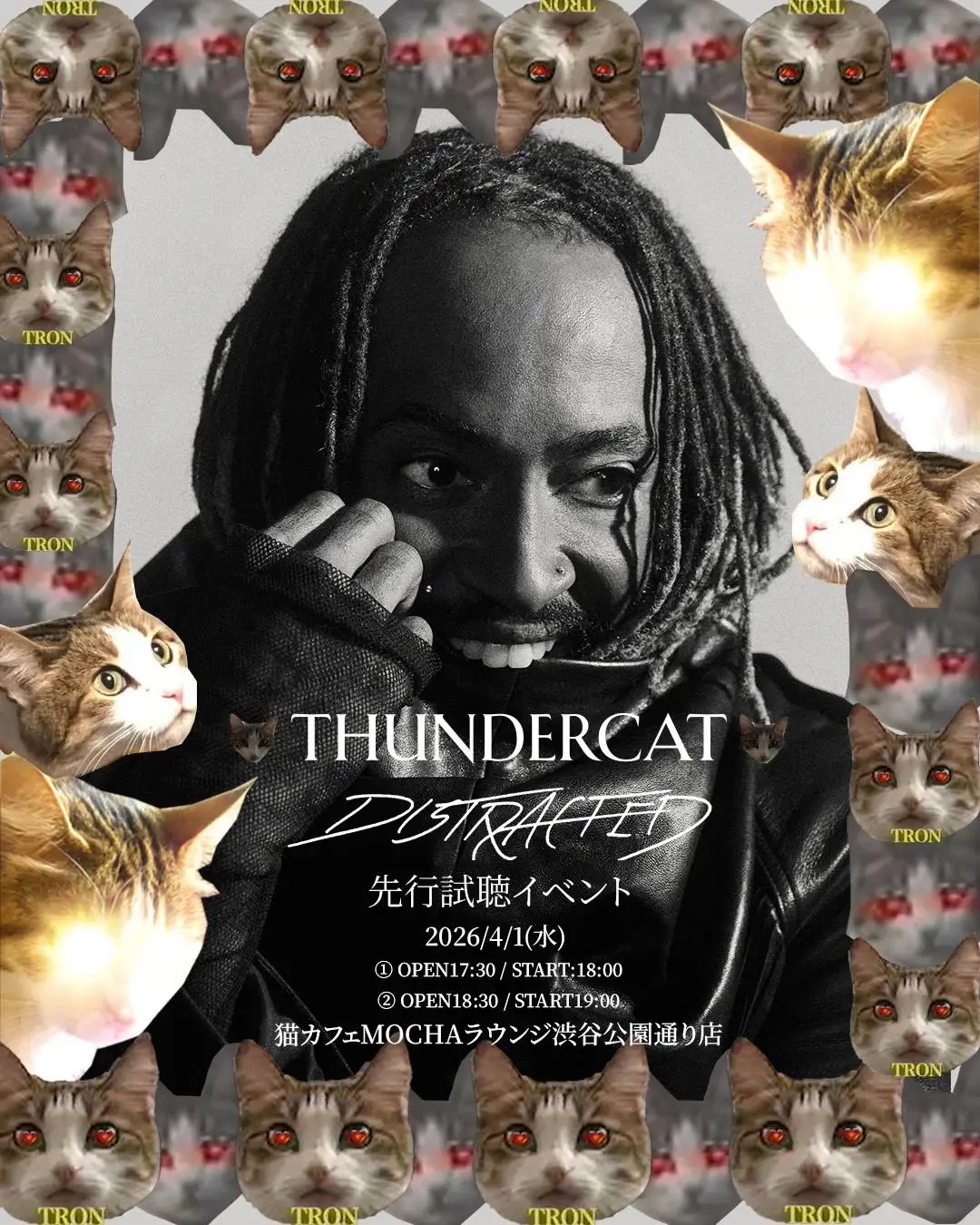 猫カフェで聴くThundercat、そのおかしな正しさについて 6667